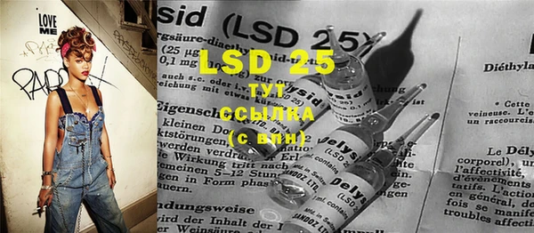 PSILOCYBIN Алексин