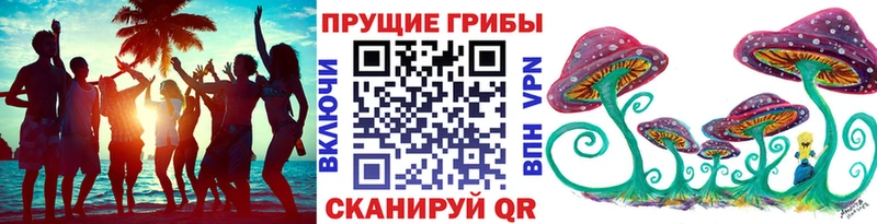 Галлюциногенные грибы Cubensis  блэк спрут ссылки  Сосновый Бор 